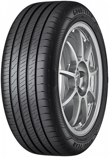 205/55R16 V Efficientgrip Performance 2