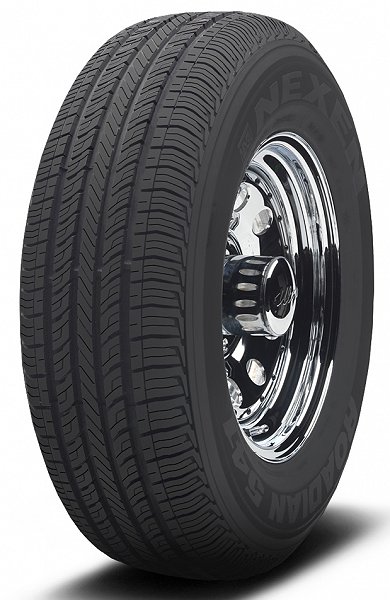 225/75R16 H Roadian 541