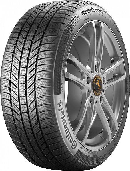 Continental TS 870P 205/55R17 H
