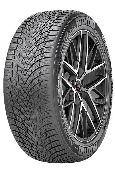 Momo gumi W-20 NORTH POLE XL MOMO 215/45R17 V
